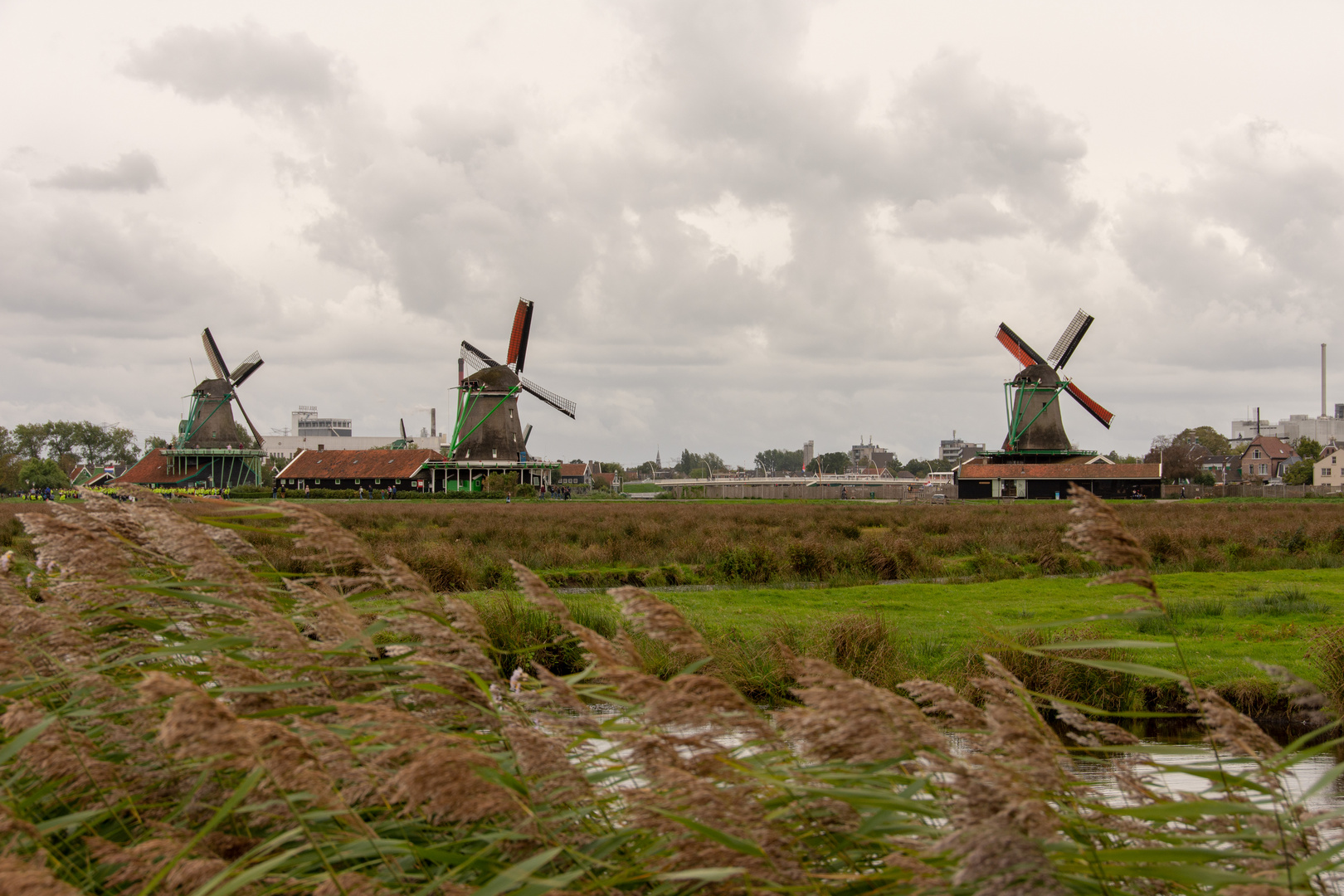 Zaanse Schans - Kalverenpolderpad - View on Zaanse Schans - 01