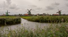 Zaanse Schans - Kalverenpolderpad - View on Zaanse Schans - 03