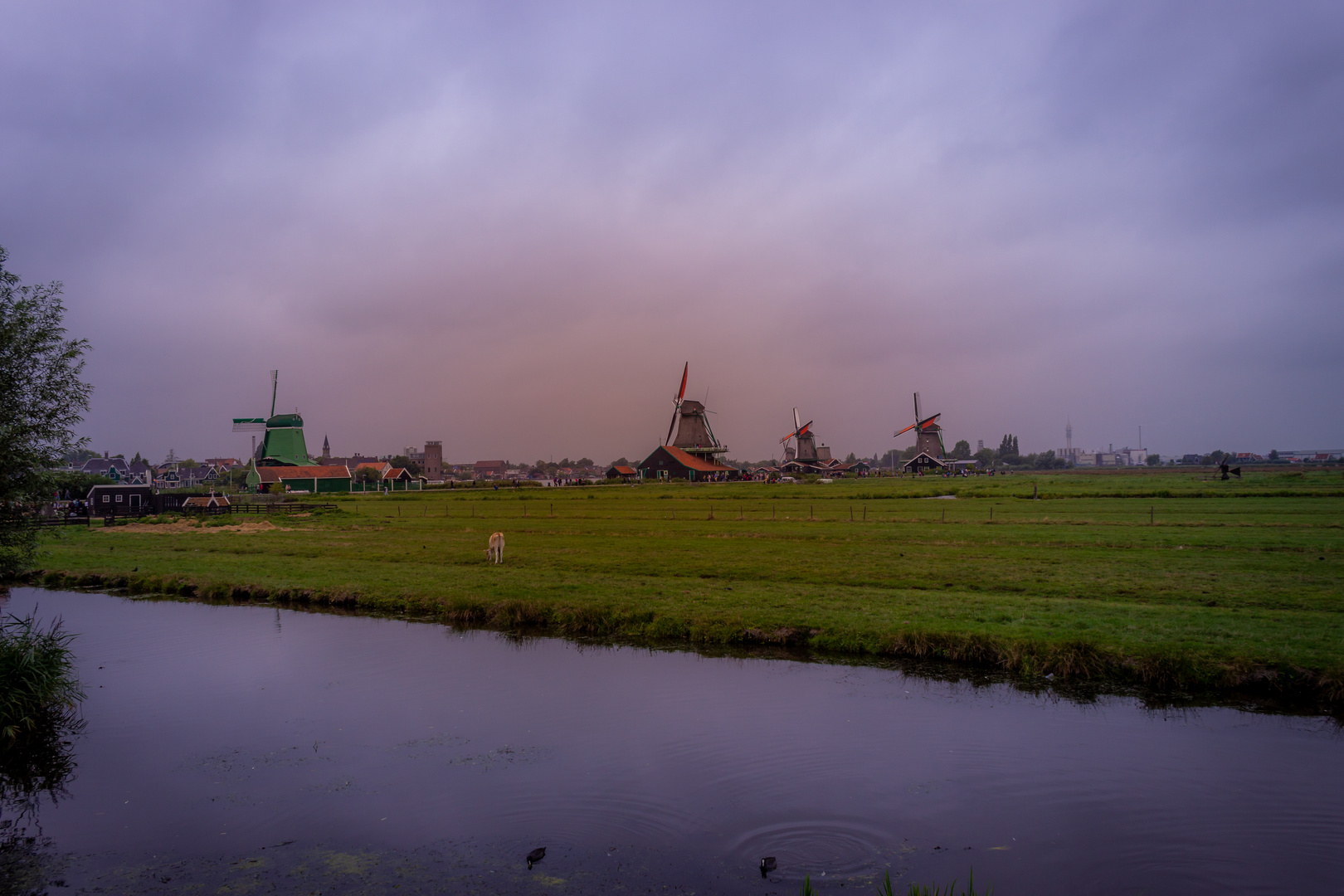 Zaanse Schanz Windmühlen