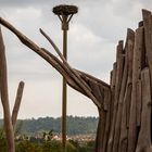 Zaberfeld Naturpark Stromberg-Heuchelberg