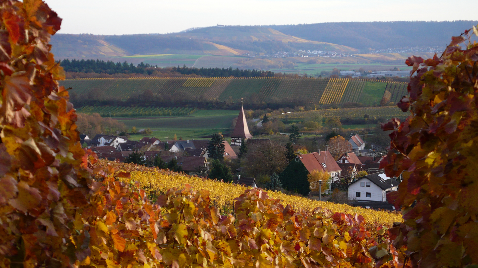 Zabergäu mit Blick auf den Michaelsberg