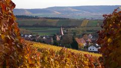 Zabergäu mit Blick auf den Michaelsberg