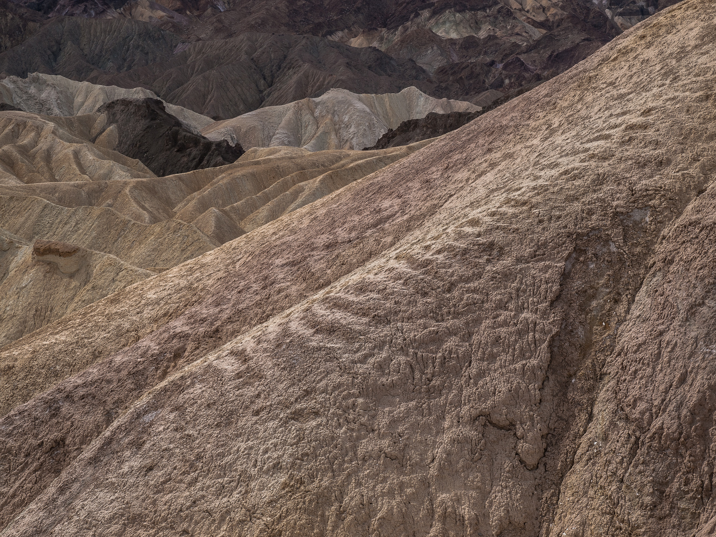 Zabriskie-Detail