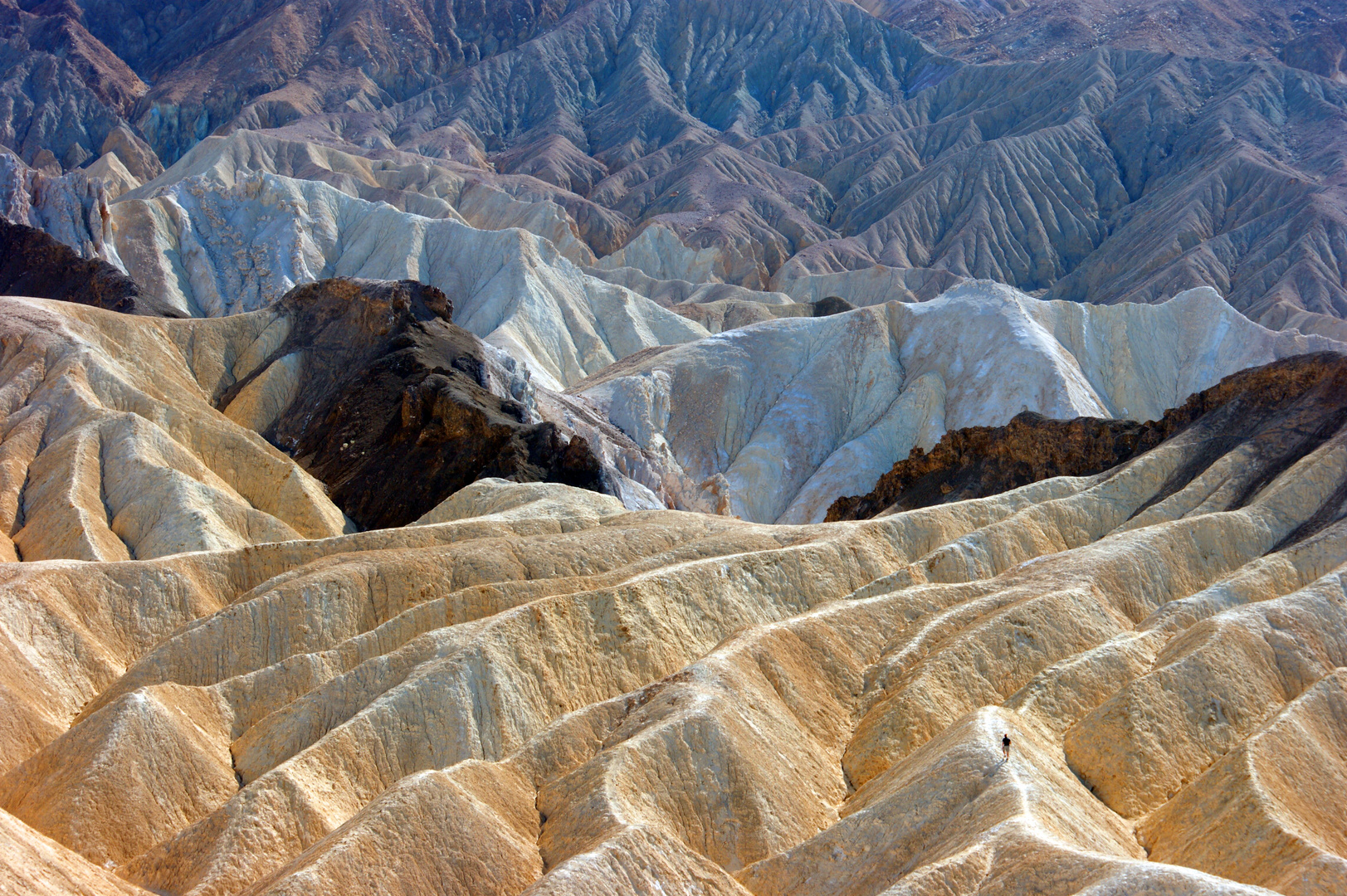 Zabriskie Point, Death Valley National Park Foto & Bild north america