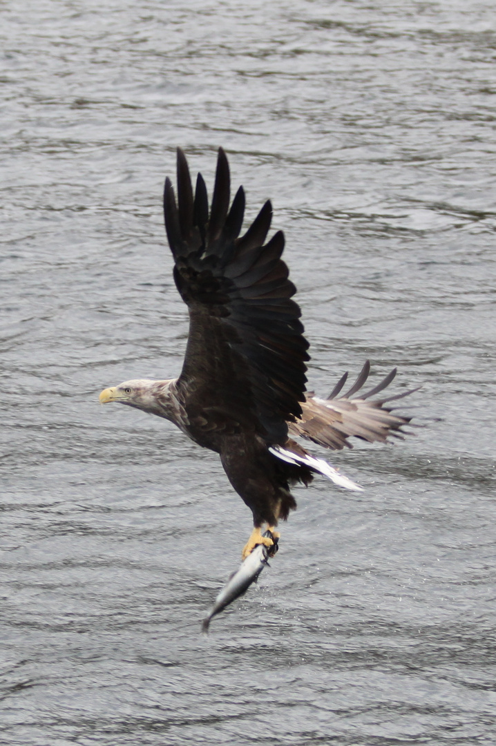 Zack und Abflug