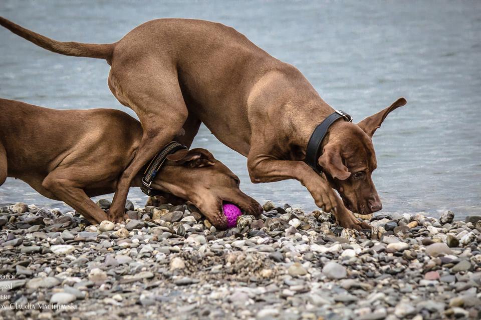 Zack - weg ist der Ball