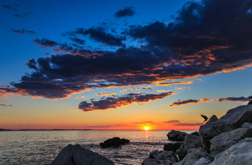 Zadar Sonnenuntergang mit Vogel