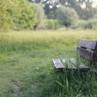 Zadok Allen's park bench