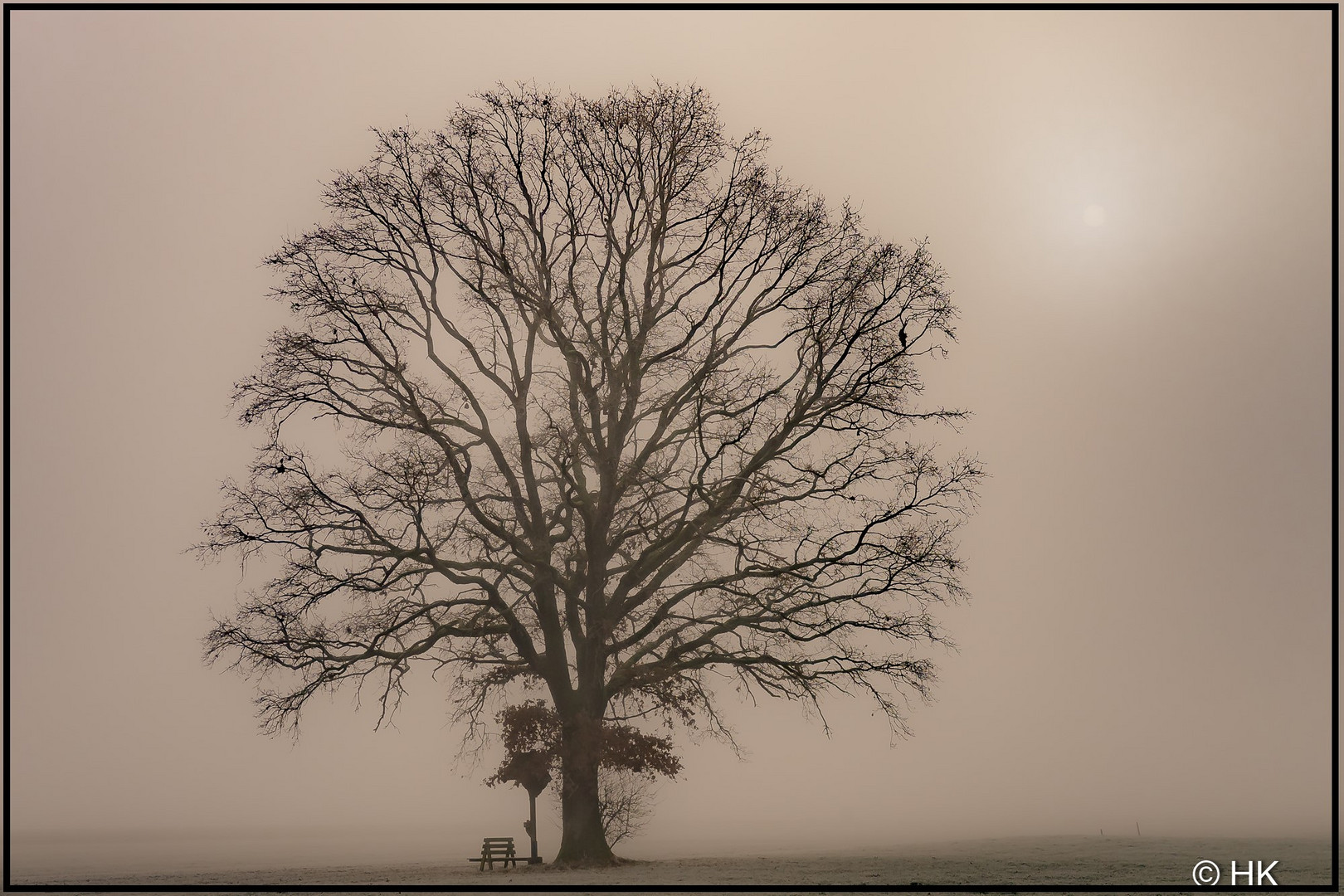 Zäher Nebel