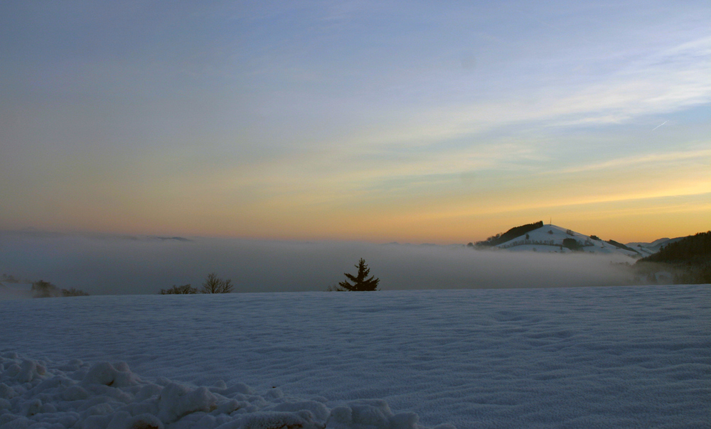 zäher Nebel,