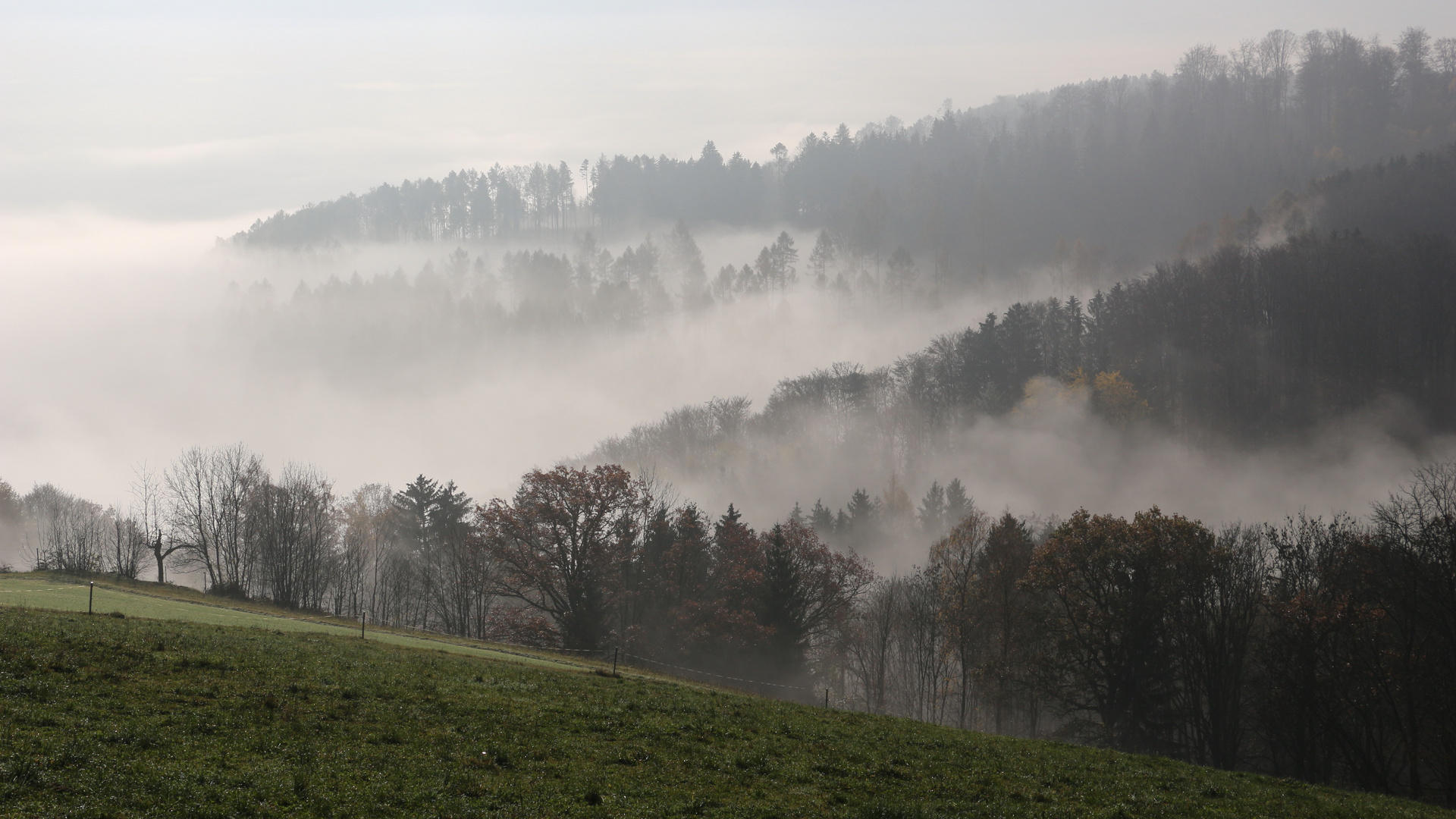 Zäher Nebel am Vormittag