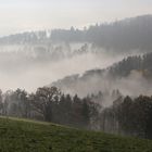 Zäher Nebel am Vormittag