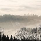 Zäher Nebel am Vormittag