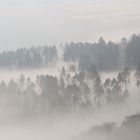 Zäher Nebel am Vormittag