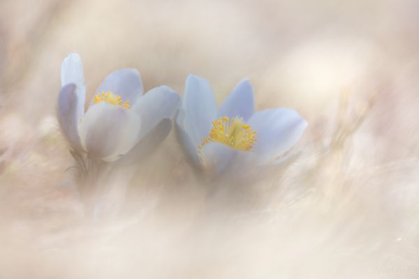 zärtliche Berührung.............