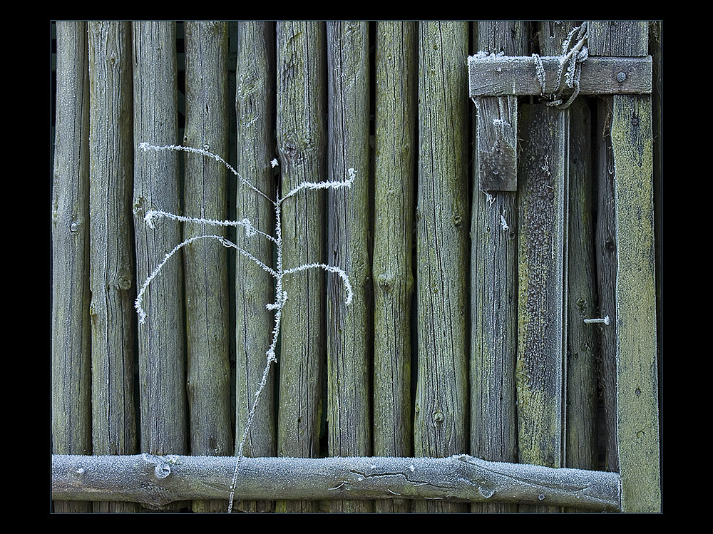 ...zärtliche Berührung... - AUSSTELLUNGS-FOTO "WERDEN UND VERGEHEN"