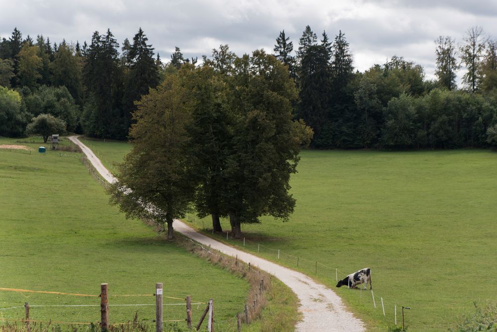 Zäune erzeugen Sehnsucht