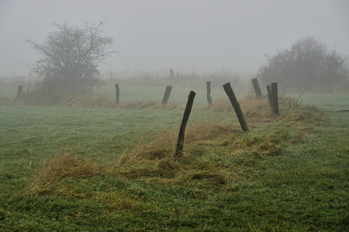 Zäune im Nebel