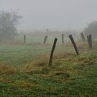 Zäune im Nebel