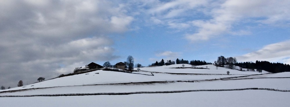 ZÄUNE IM SCHNEE