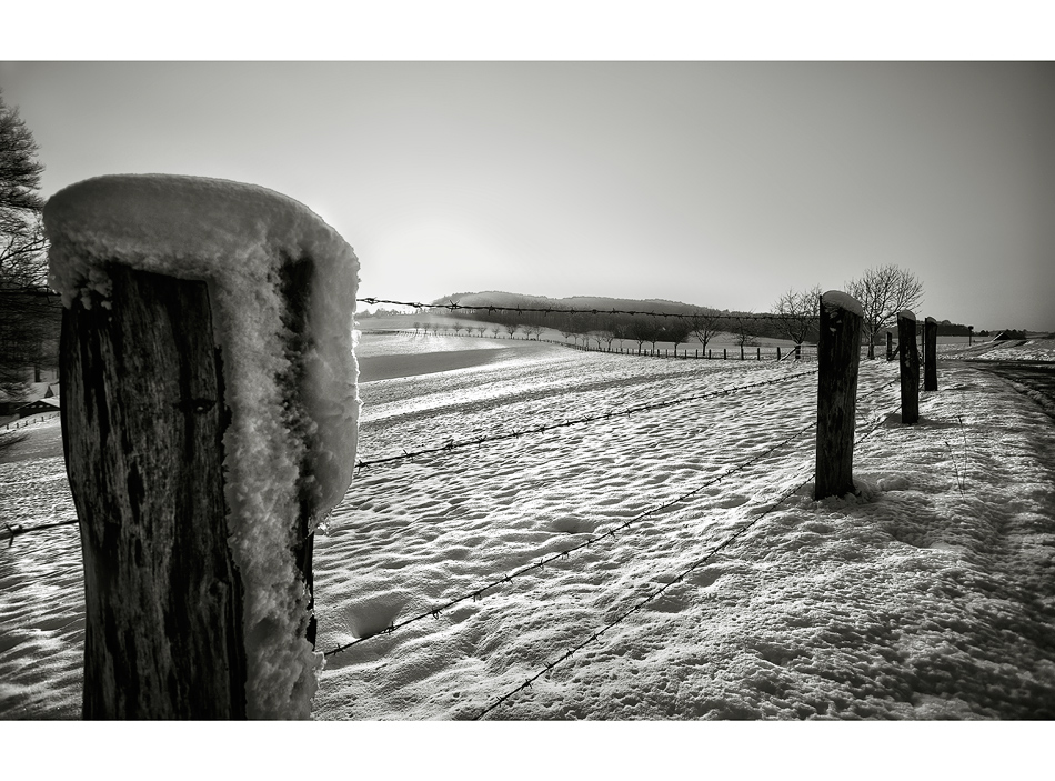 Zäune und Pfähle im Winter II