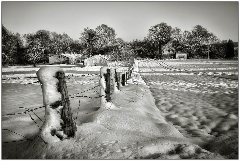 Zäune und Pfähle im Winter V