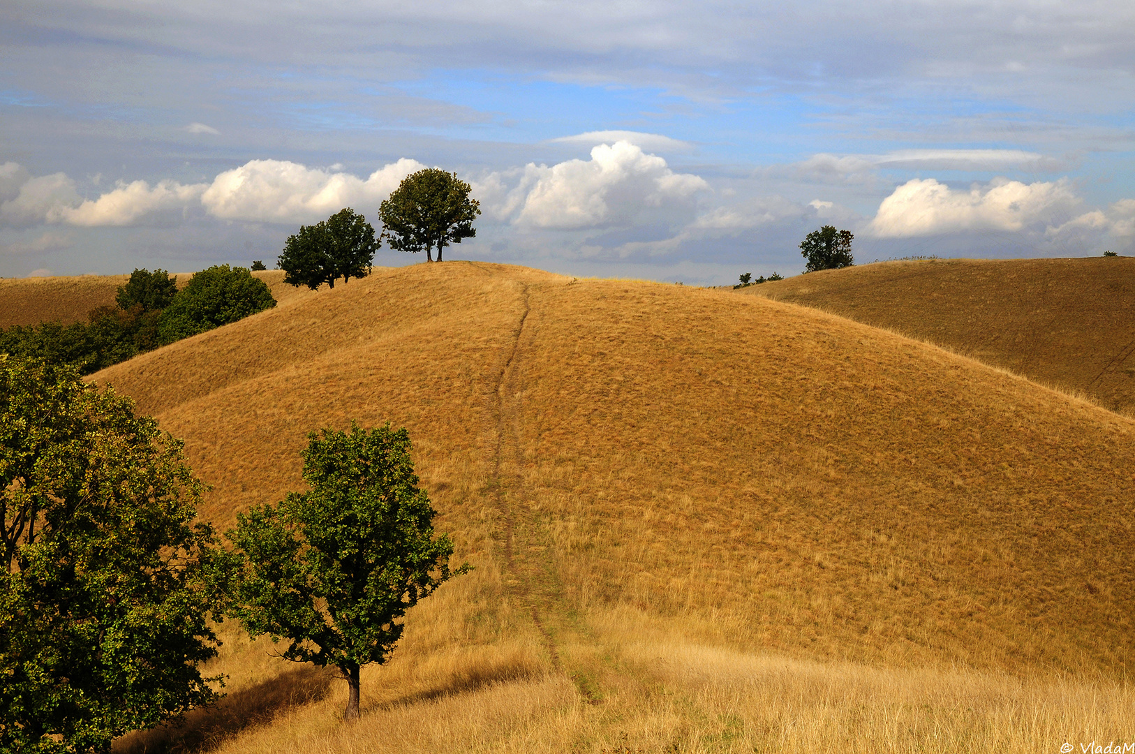 Zagajica Hills