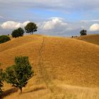 Zagajica Hills