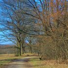 Zaghaft der Frühling