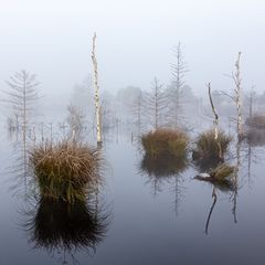 Zaghaft lichtet sich der Nebel...