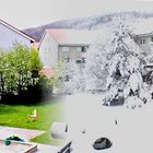 ...zaghaft...aber er kommt...der Frühling