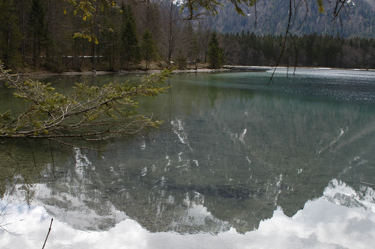 Zaghafter Frühling