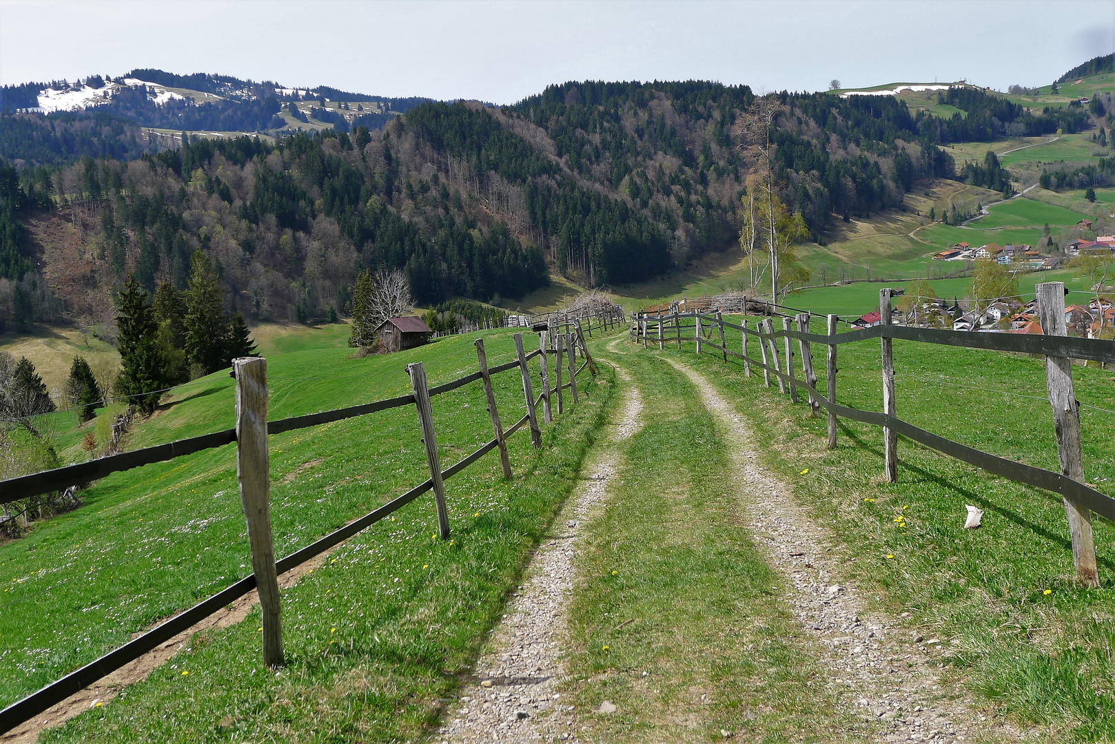 Zaghafter Frühling bei Missen