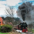 Zaghafter Frühling im Hochharz