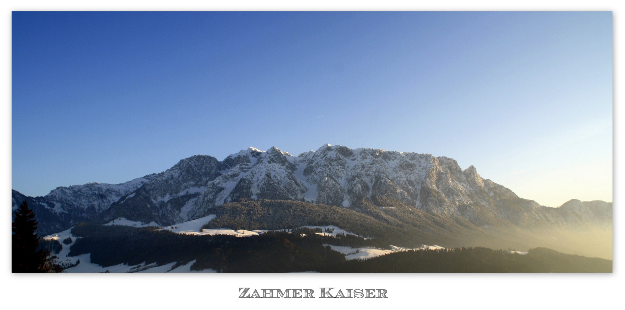 Zahmer Kaiser