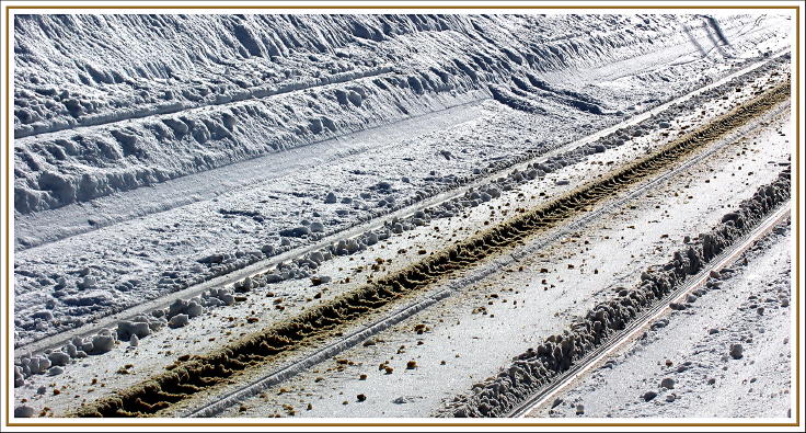 Zahnspuren im Schnee...