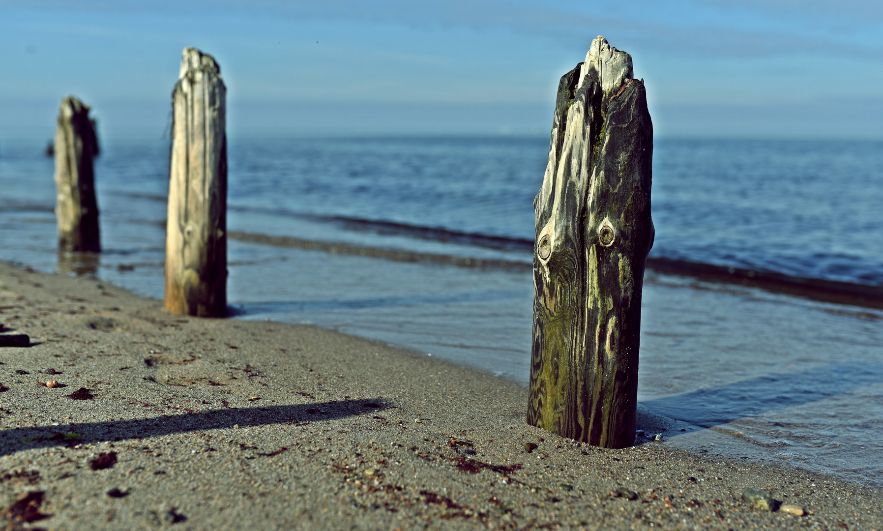 Zahnstocher für den Riesen aus dem Meer