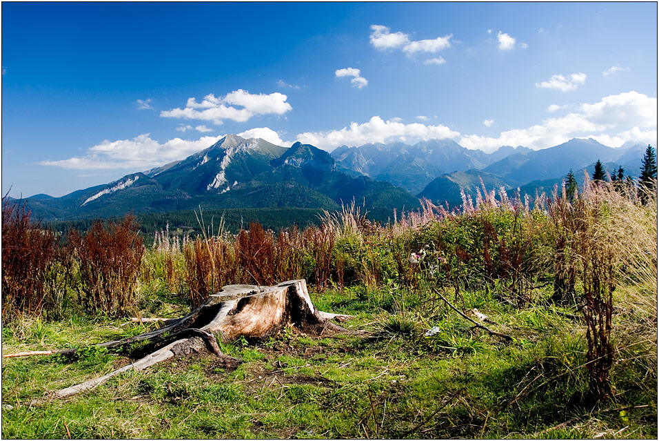 .... Zakopane ....