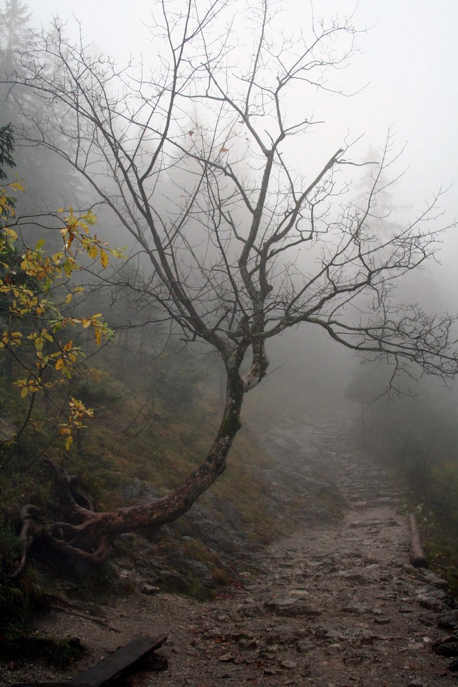 Zakopane/Polen 2006