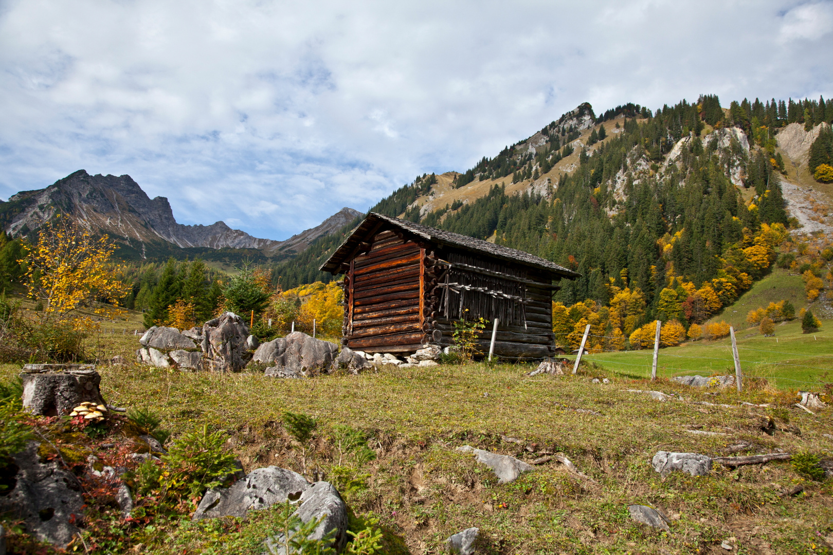 Zalimboden