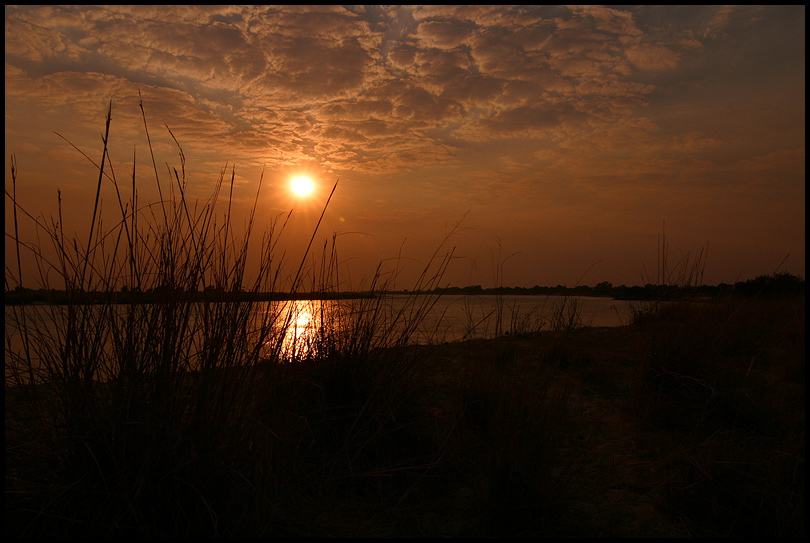 Zambezi Morning