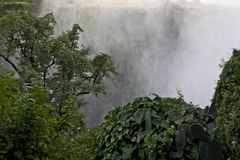 Zambia - Victoria Falls (2)