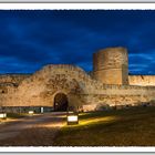 Zamora. Castillo.