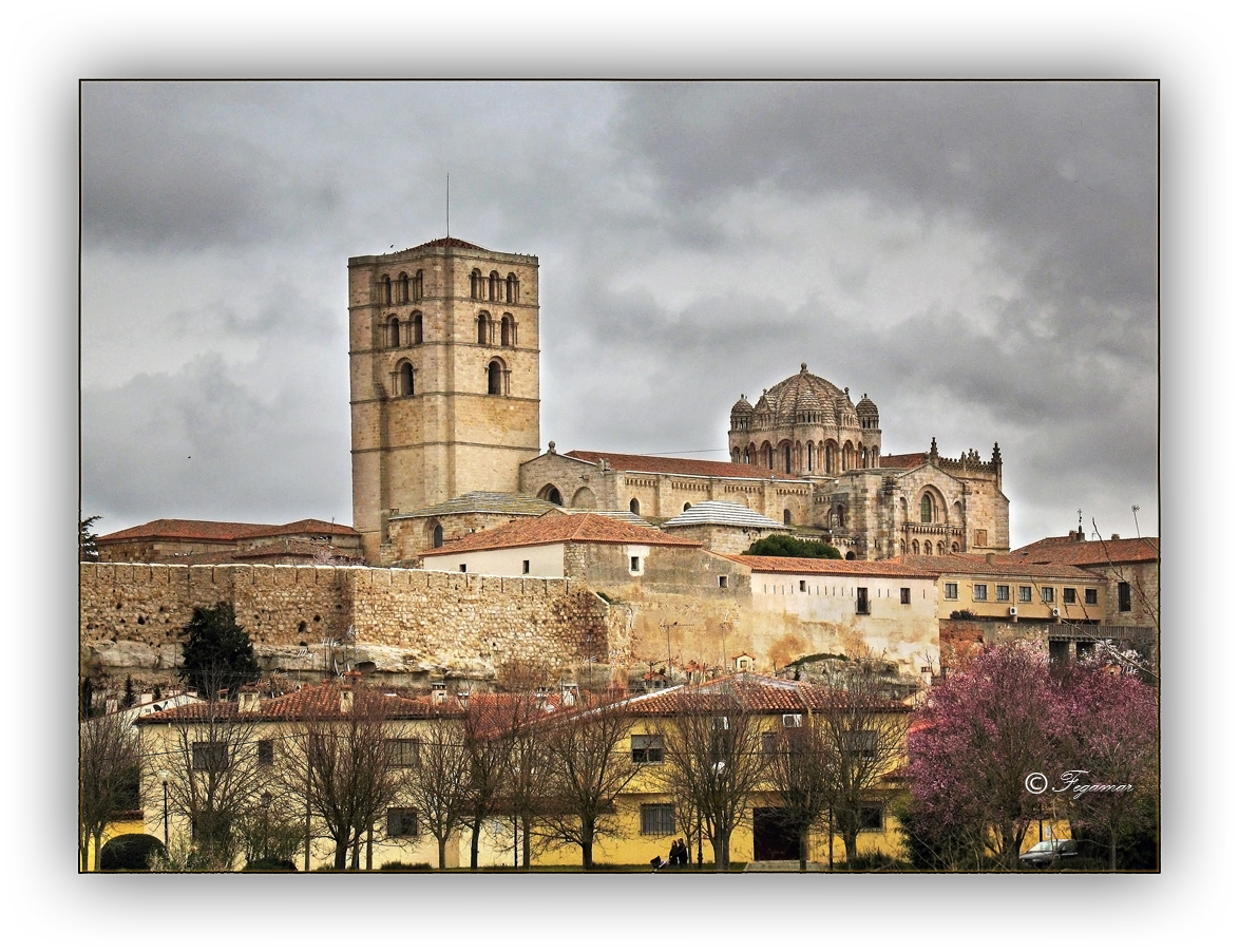 Zamora. Catedral,