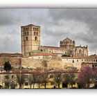 Zamora. Catedral,