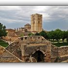 Zamora. Catedral.