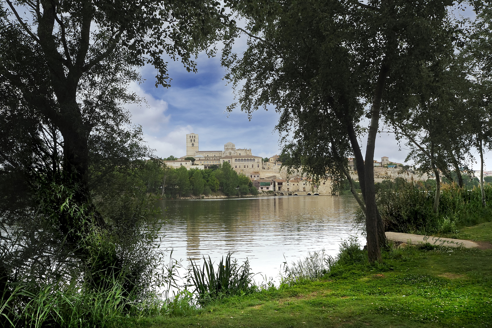 Zamora. Duero, muralla y Catedral.