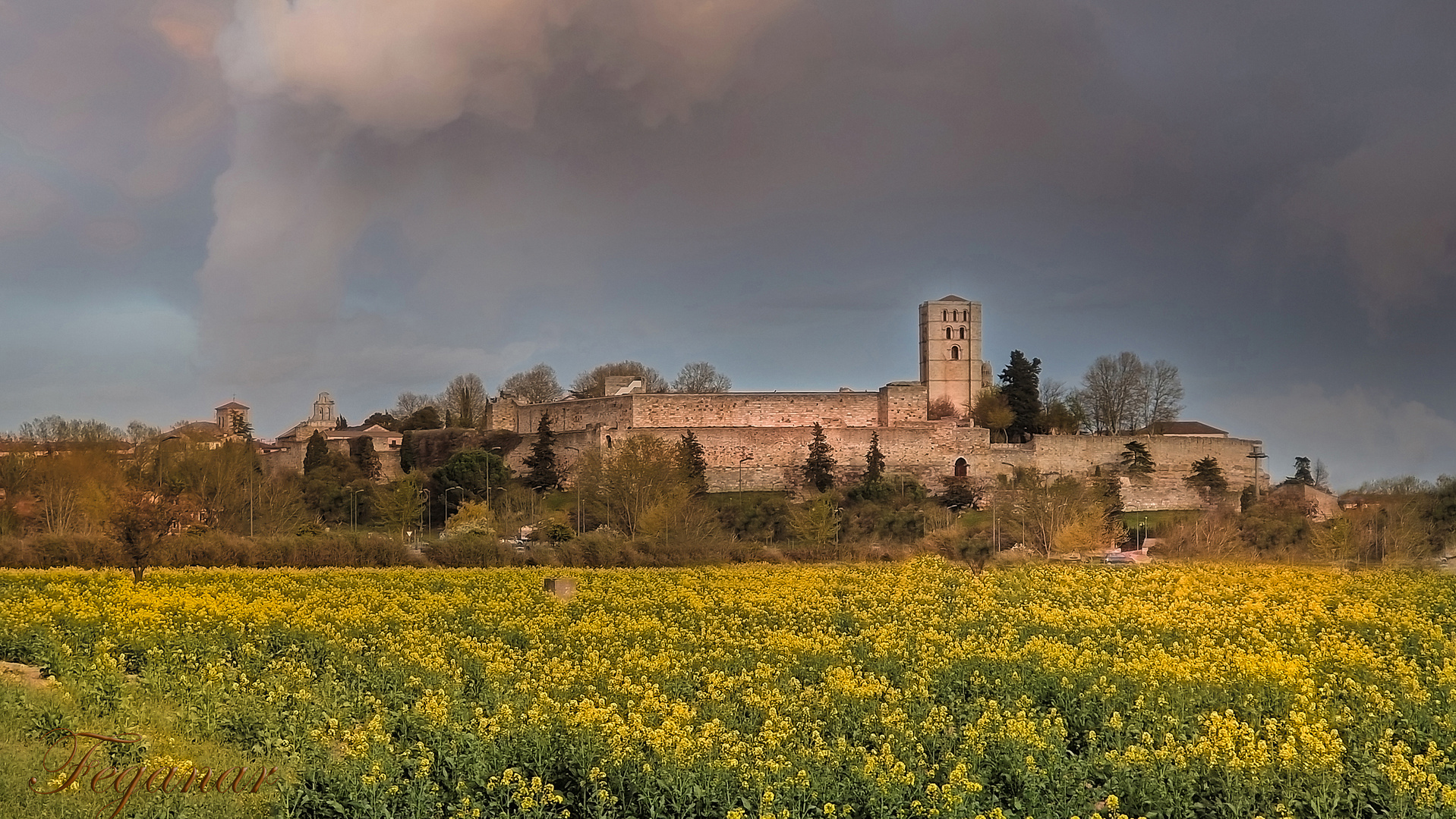 Zamora- Torre de la Catedral y Castillo.