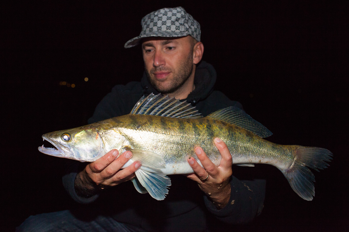 Zander gebissen auf Pontoon21 Awaruna