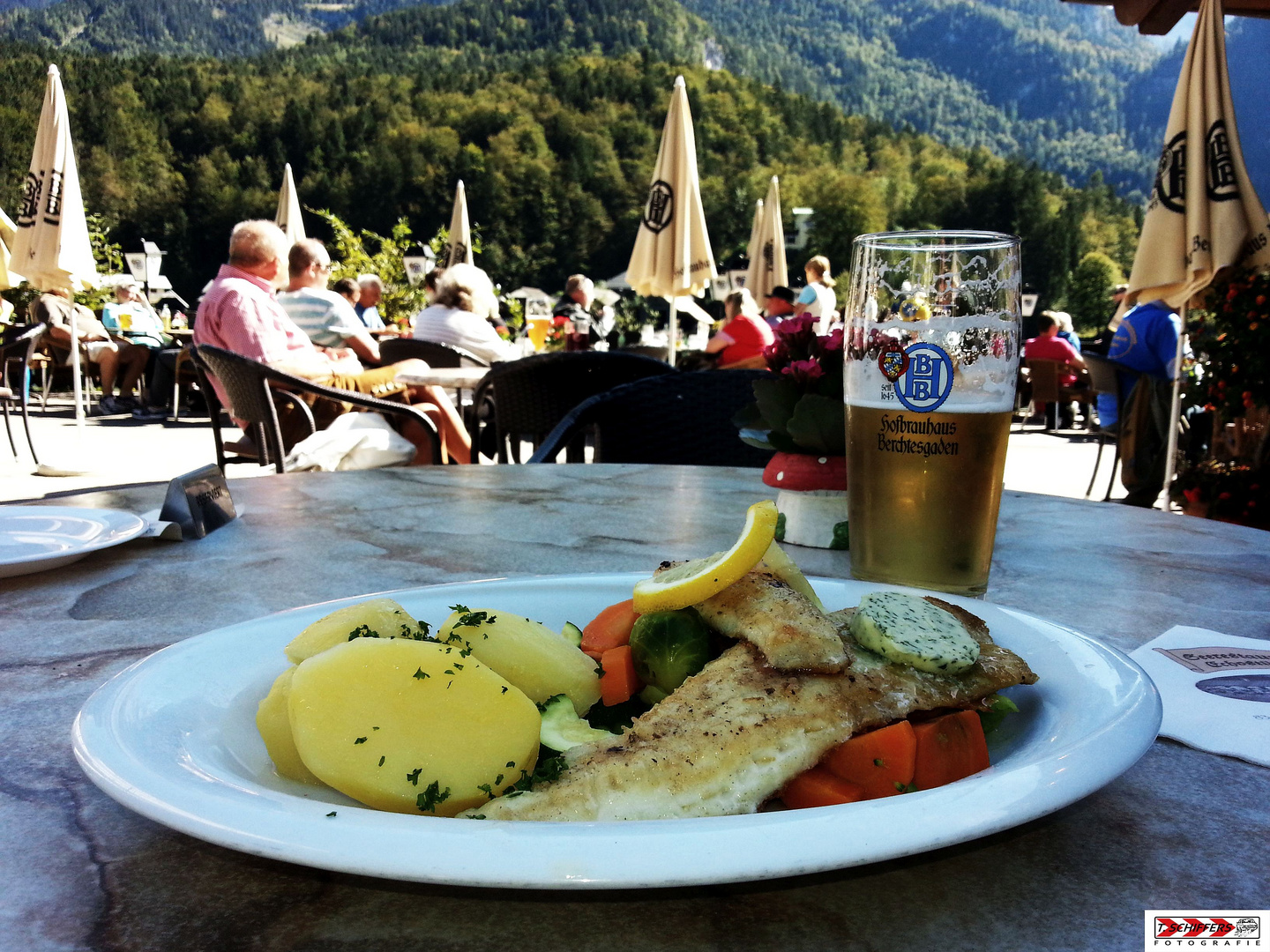 Zanderfilet natur gebraten